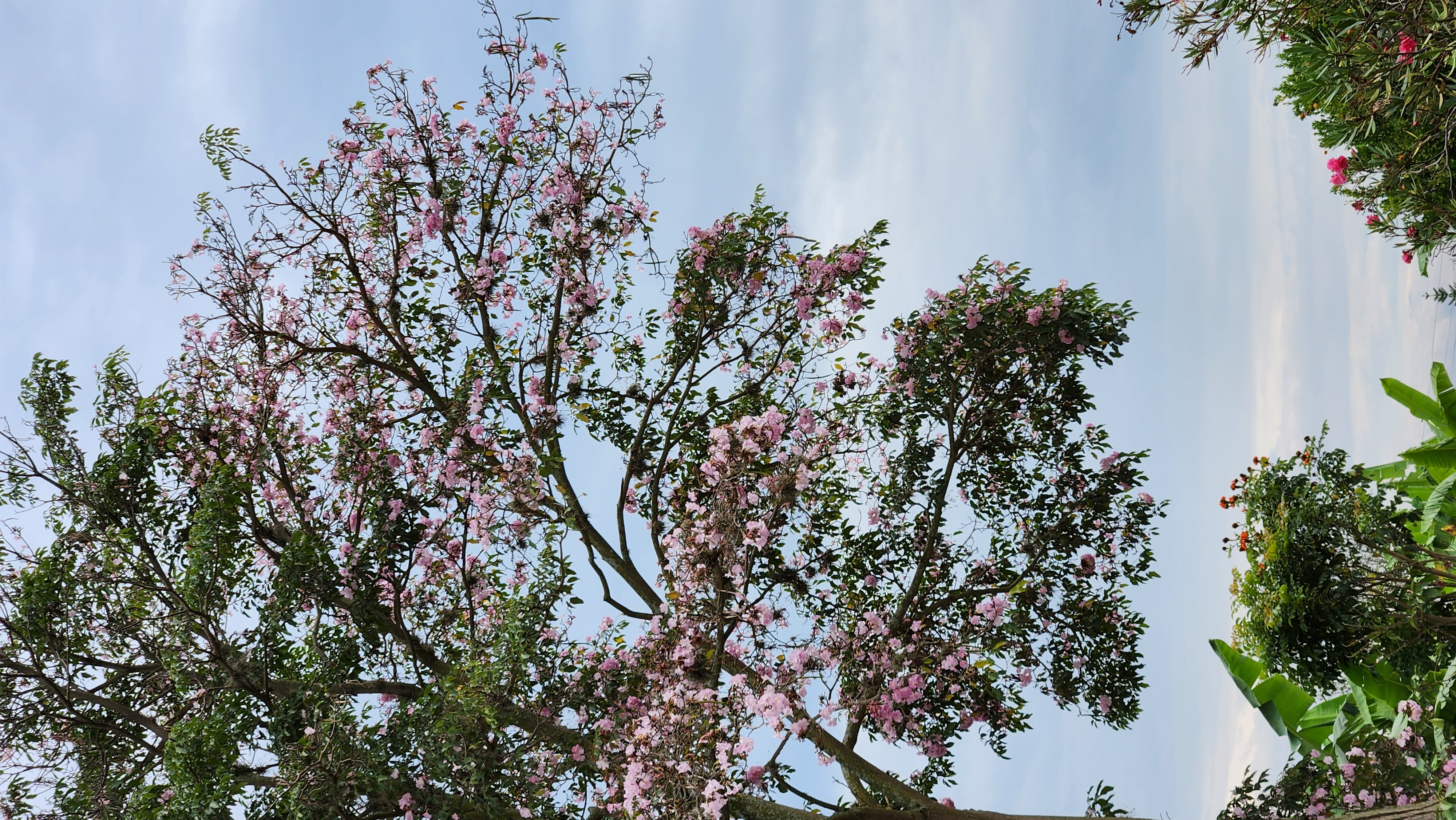 Fotografía de naturaleza 1